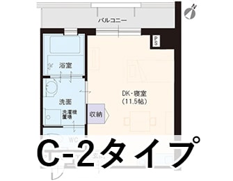 C-2タイプ